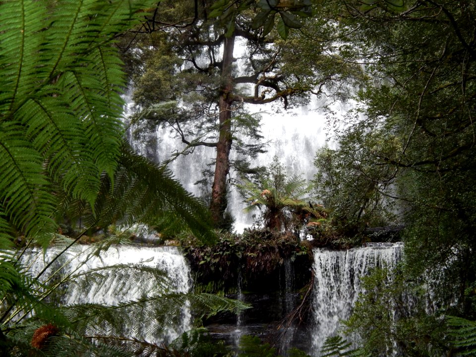 Mount field national park, National park, Australia