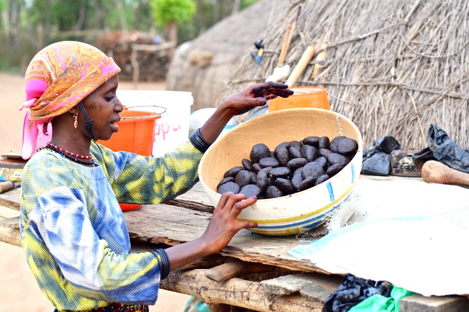 Nigeria, Ejiba, Fulani