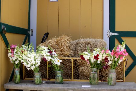 Market, Farm, Barn