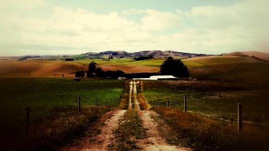 New Zealand, Waimate, Kiwi