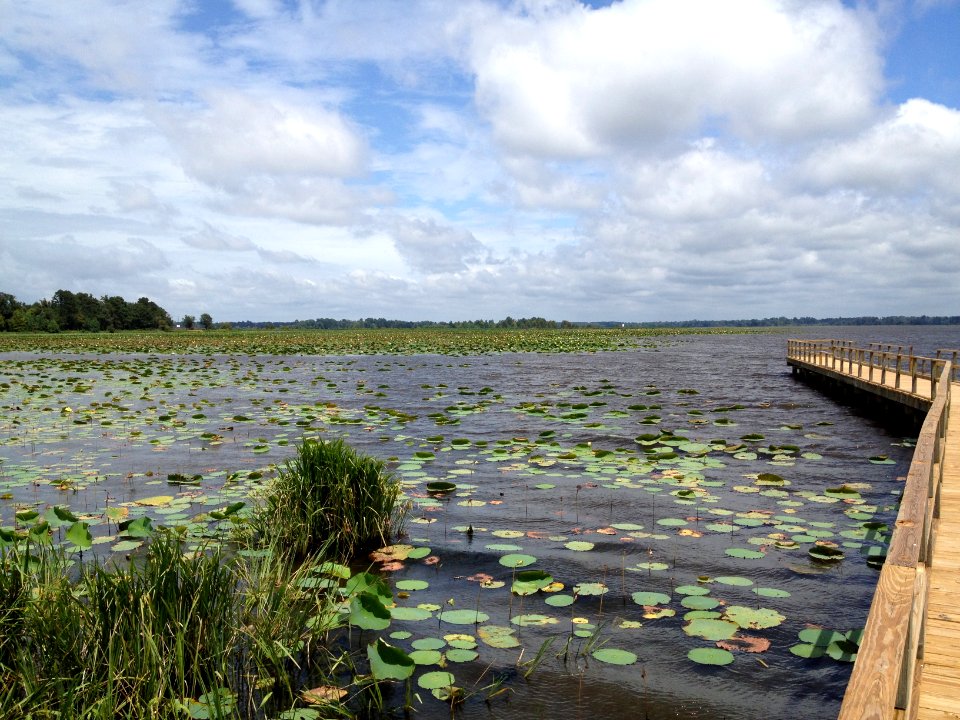 Ross r barnett reservoir, United states, Outdoor
