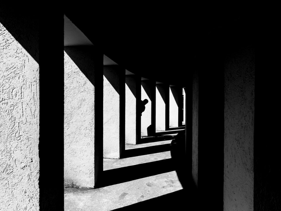 People, Silhouette, Black  white