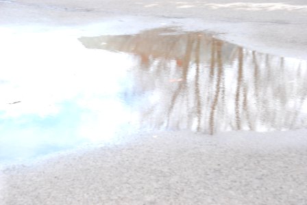 Buffalo, United states, Street puddle photo