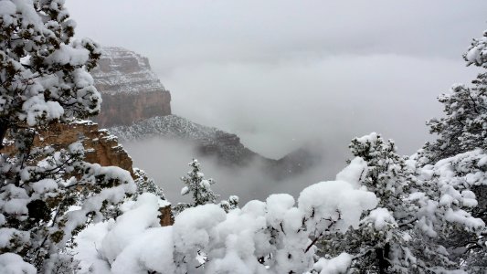 canyon village, United states, Arizona photo