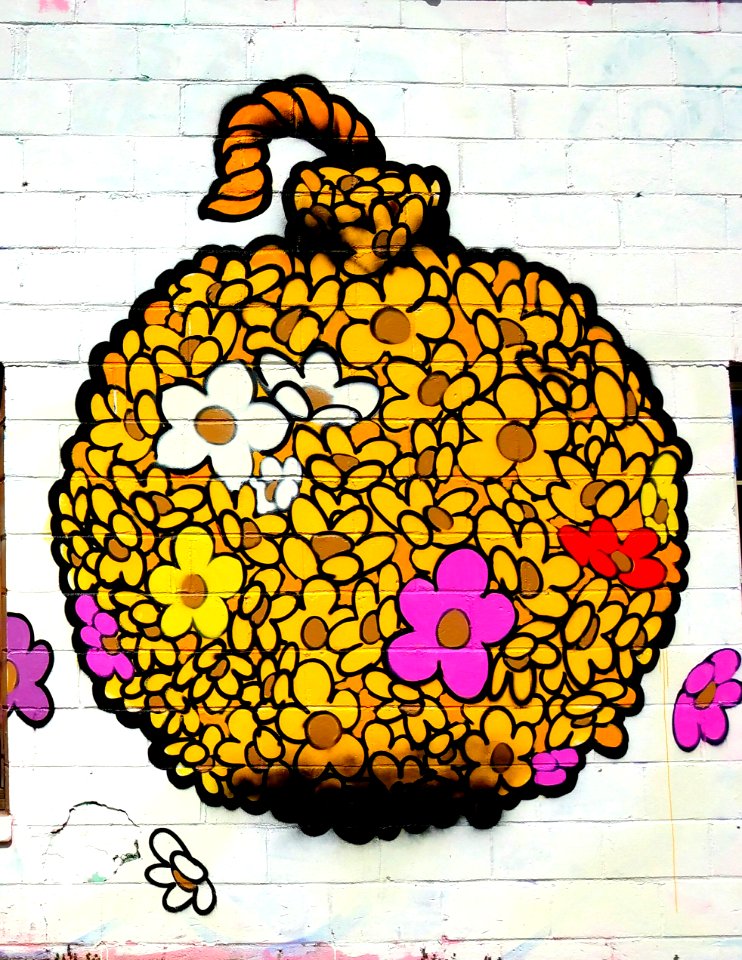 Flower, Urban, Graffitti
