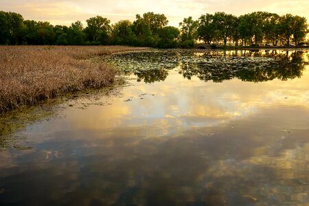 Summer landscape golden hour photo