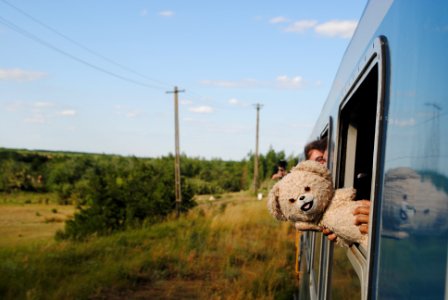 Romania, Teddy bear, Young