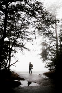 silhouette photo of person standing near tree