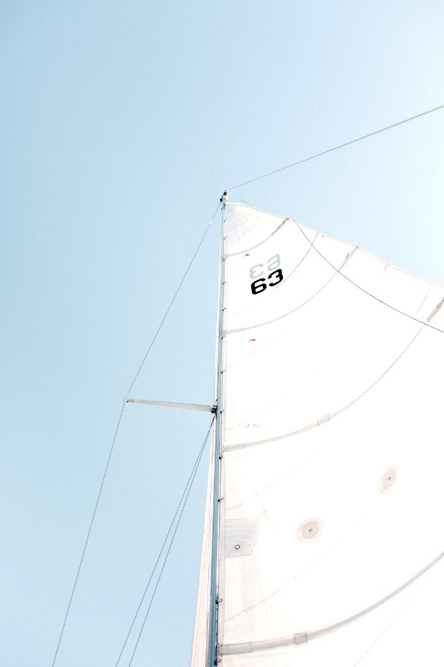 white boat sail photo
