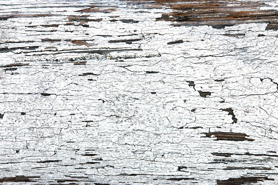 Texture