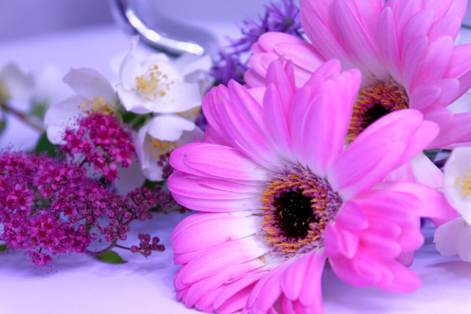 Pink tender at home