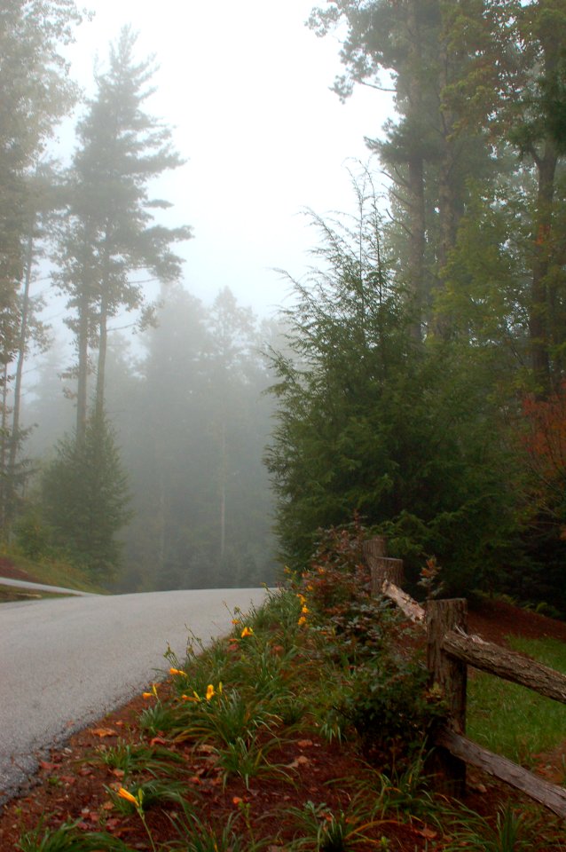 Cashiers, United states, Misty