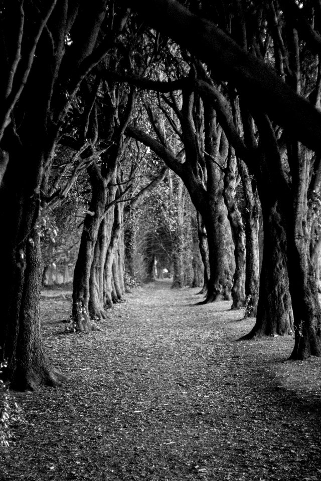 Dublin, Ireland, Saint anne s park