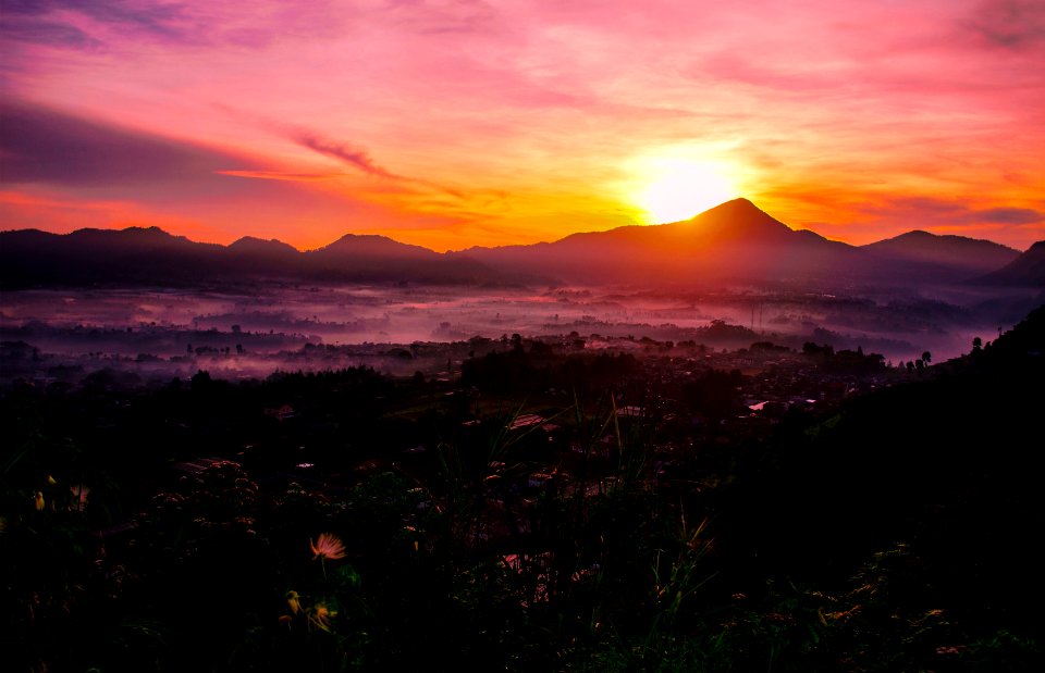 Nature, Ung, Indonesia