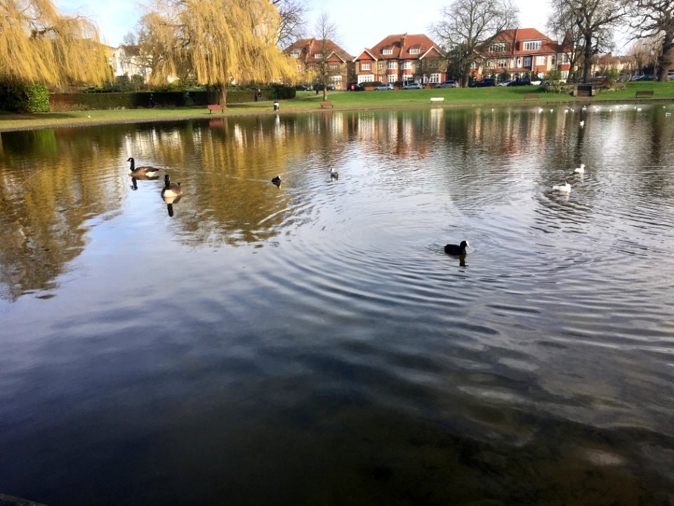 London, Broomfield park, United kingdom