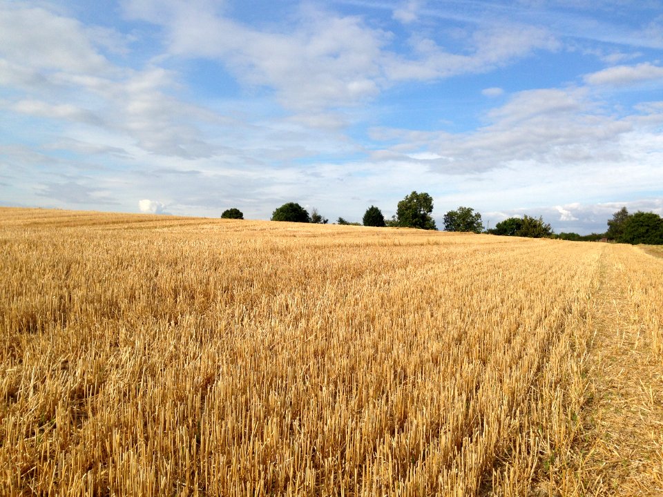 Potterspury, United kingdom