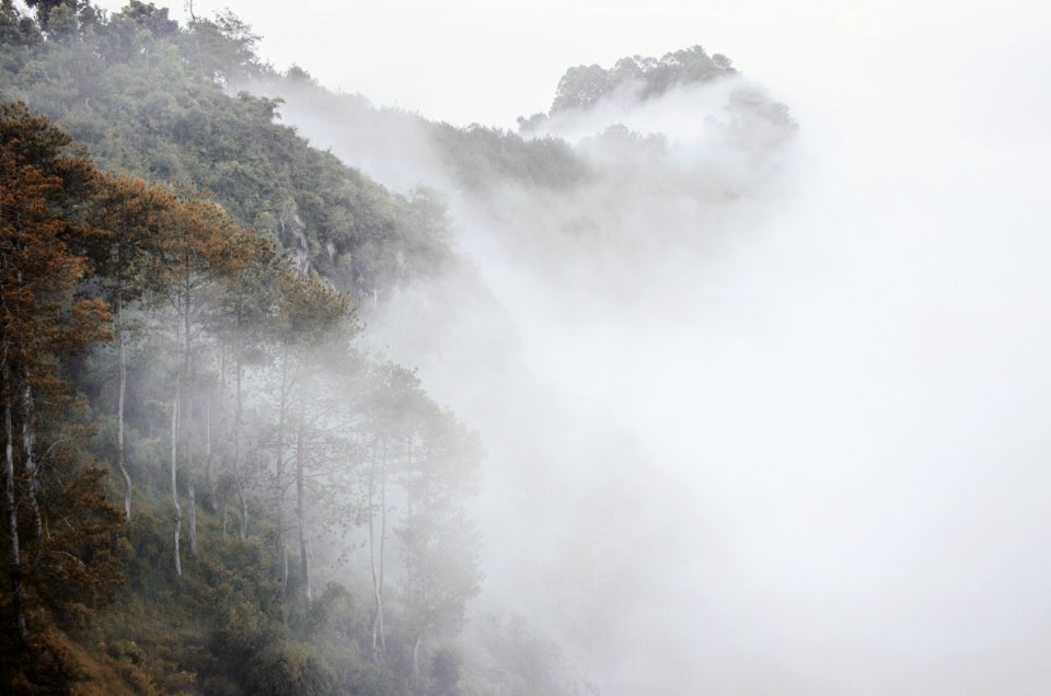 Tebing keraton, Ung, Indonesia