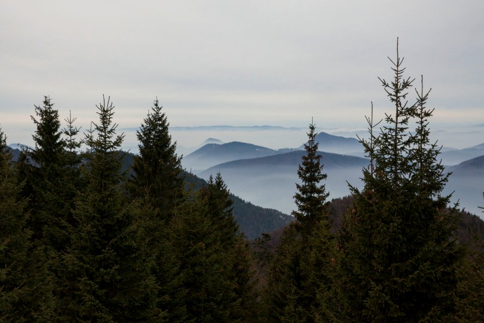 Slovakia, Vek cho, Vyn kubn