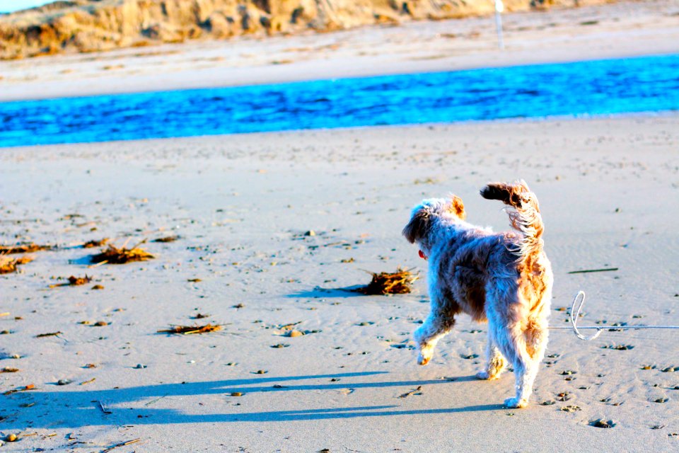Lifestyle, Fun, Sea