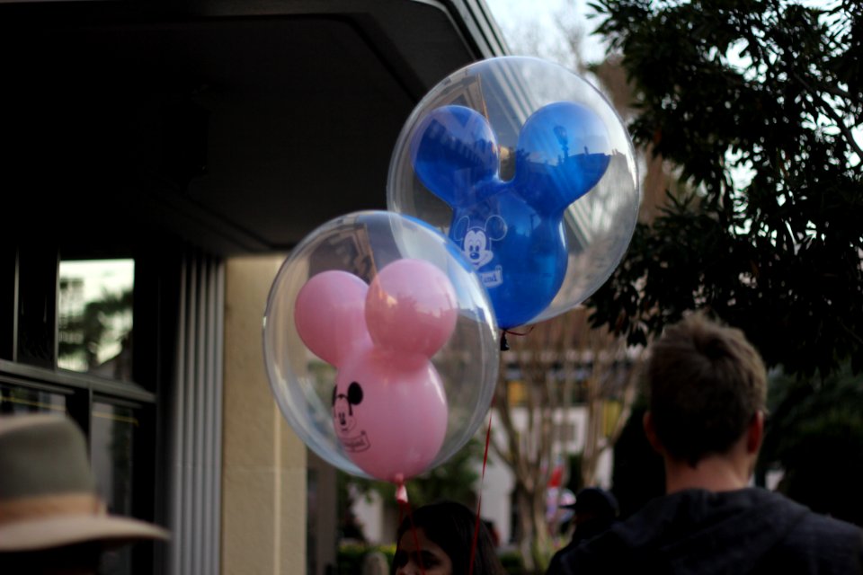 Disney california adventure park, Anaheim, United states