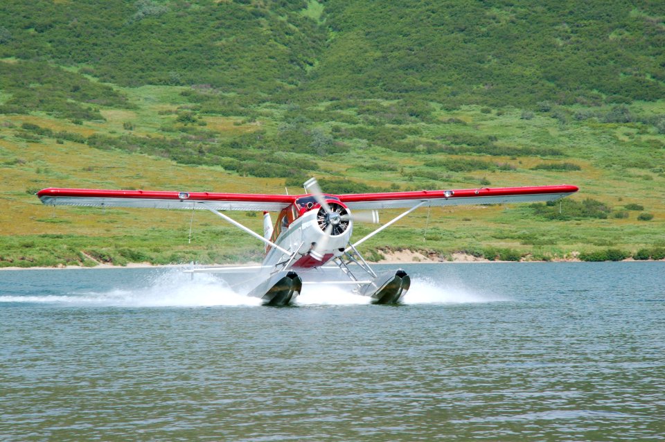Bristol bay, United states, Alaska