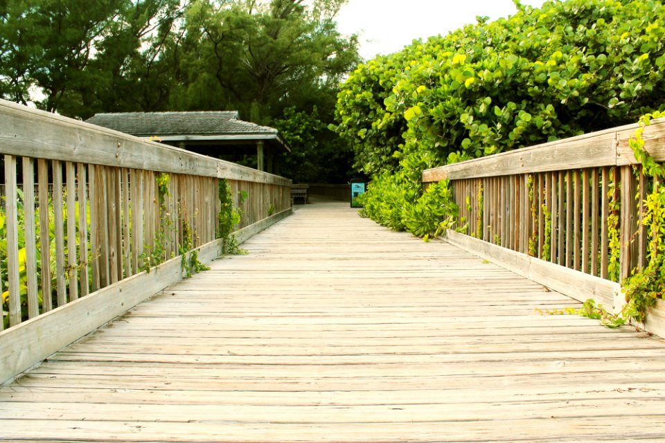 Beach, Delray beach, United states