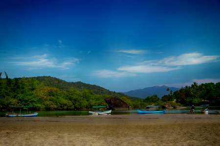 Goa, India, Forest photo