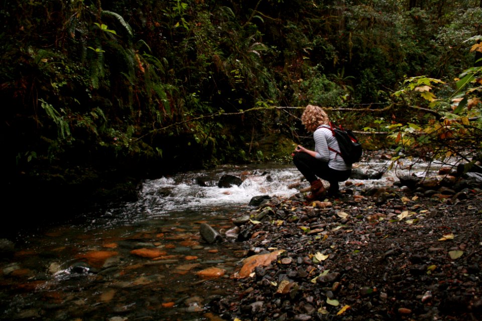 Jedediah smith redwood state park campground, Crescent city, United states