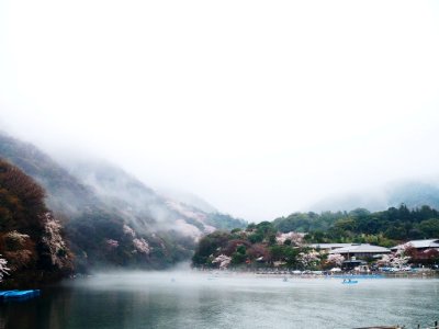 Japan, Arashiyama, Kyoto photo