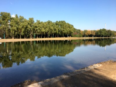 Lake, Trees