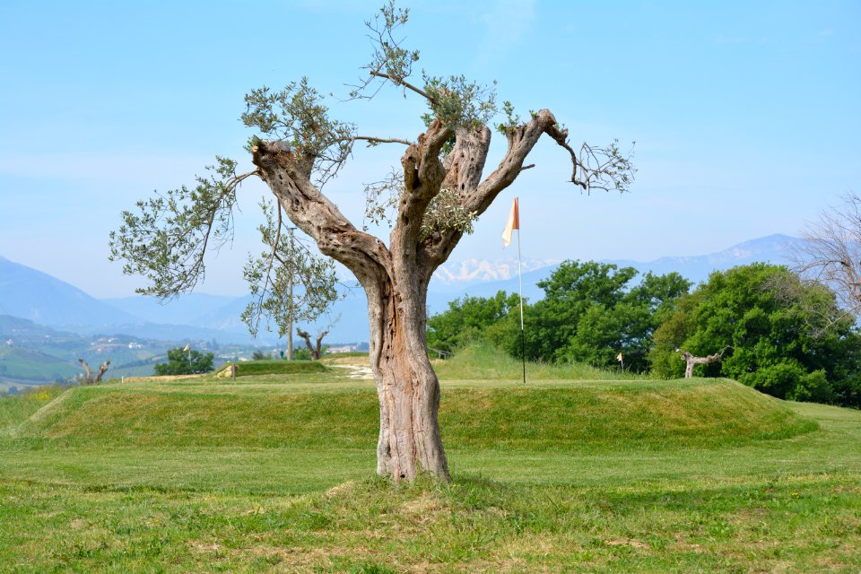 Brecciarola, Italia, Golf club