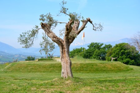 Brecciarola, Italia, Golf club photo