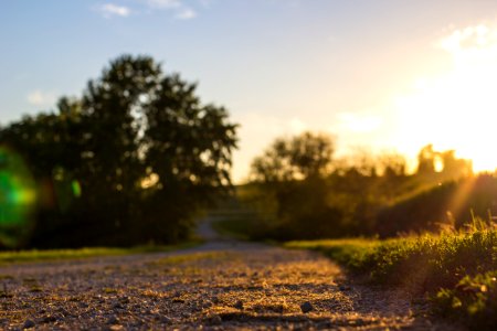 Light, Rays, Spring