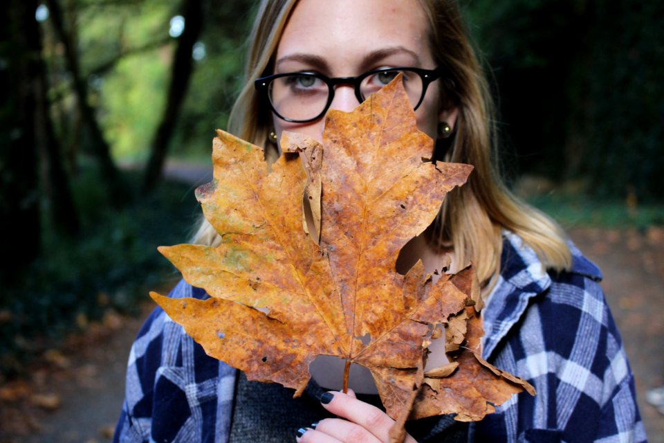Portl, United states, Tree