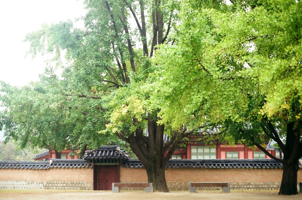 Gyeongbokgung palace, Seoul, South korea