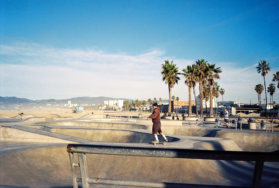 Los angeles, United states, Trees