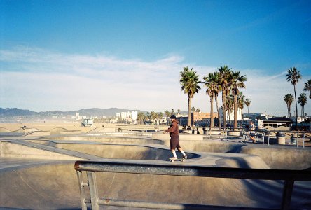 Los angeles, United states, Trees photo