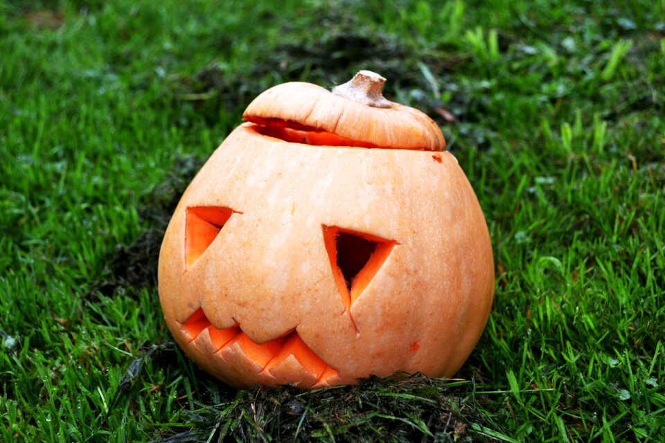 Squash halloween jack-o-lantern