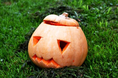 Squash halloween jack-o-lantern photo