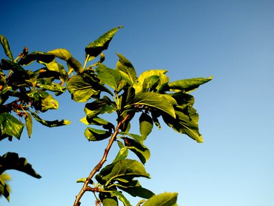 Sad spring sky