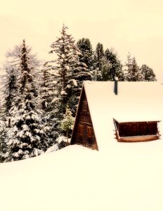 Home landscape winter photo