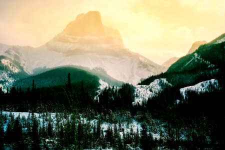 green pine trees near mountain during daytime photo