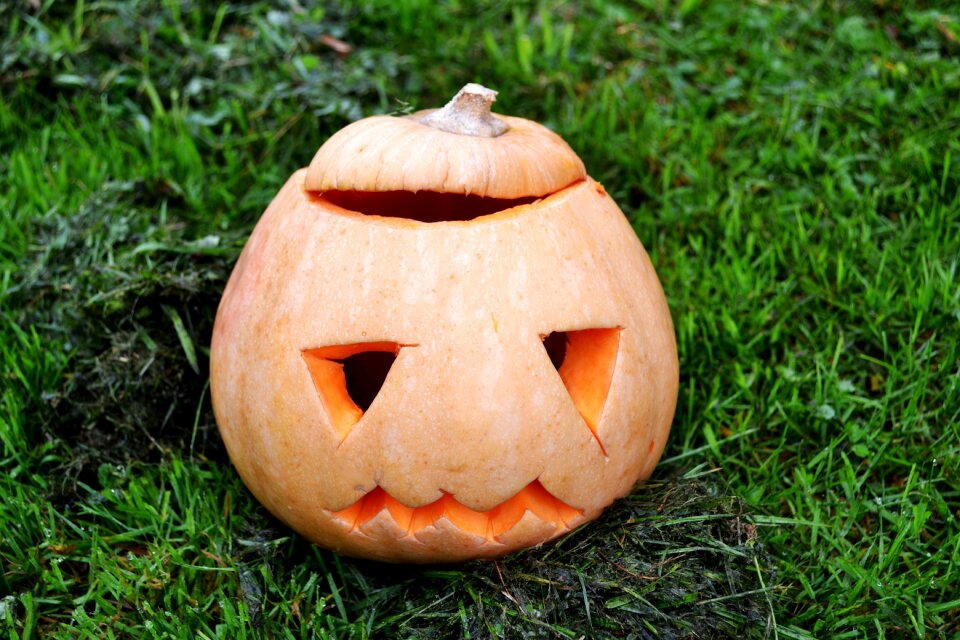 Squash halloween jack-o-lantern