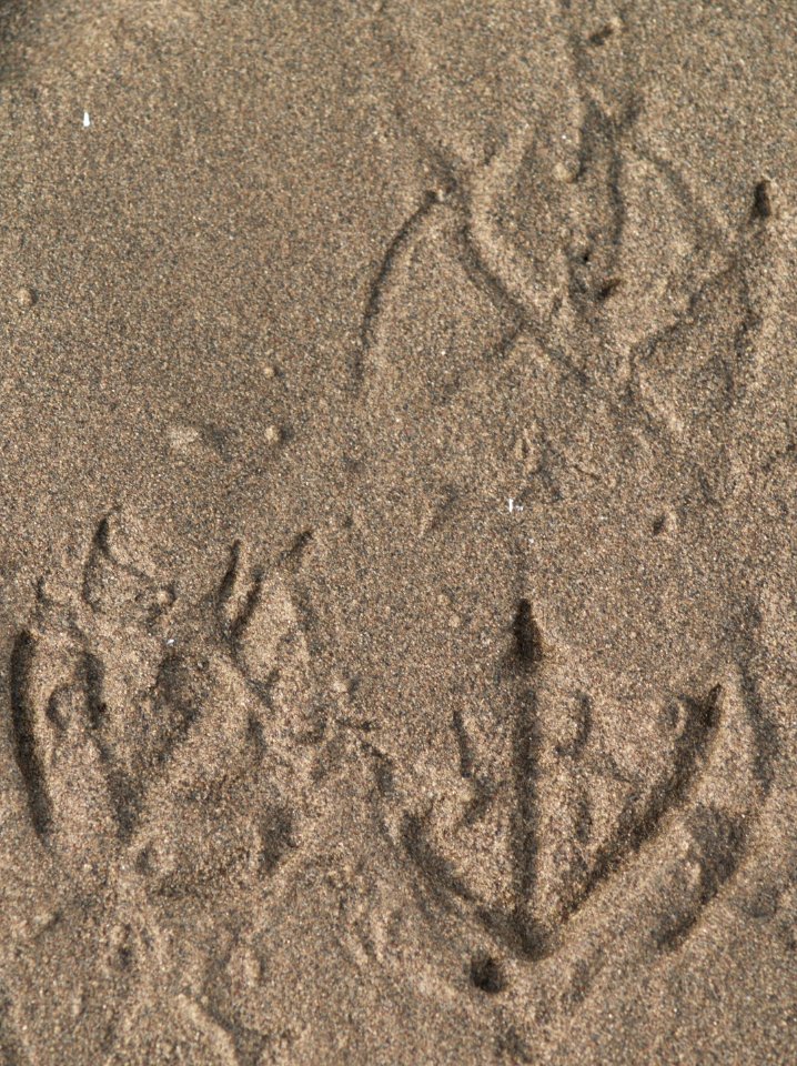 Playa del trabucador, Spain, Textura