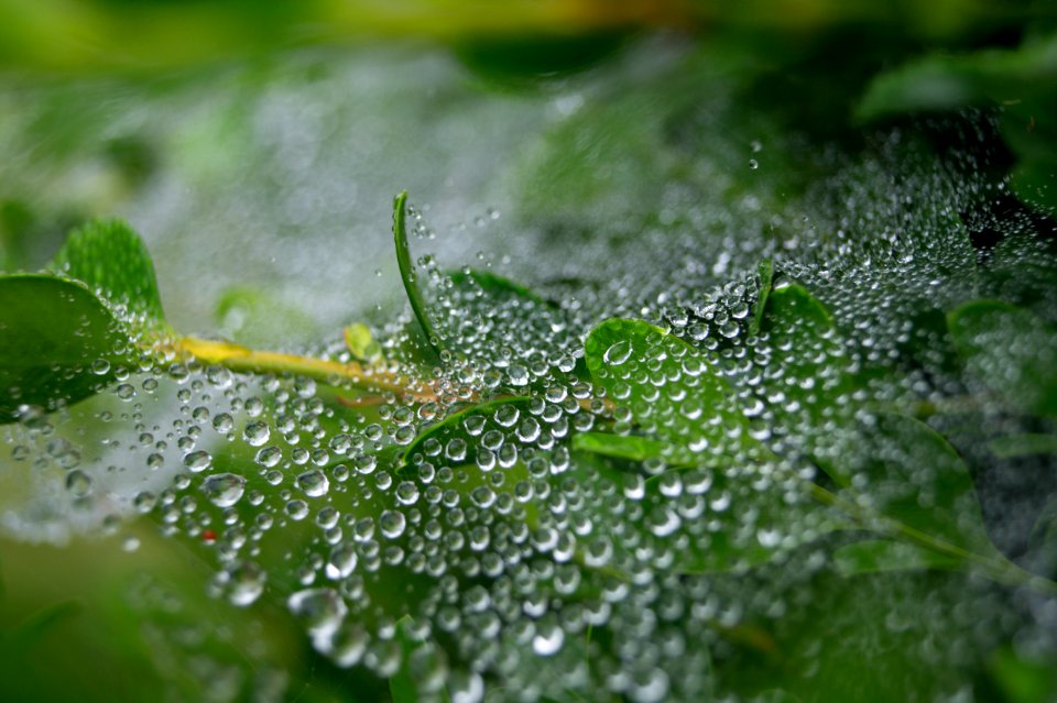 Dresher, United states, Rain photo