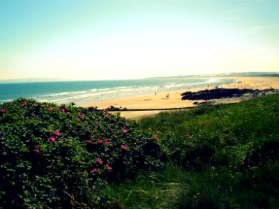 Irel, The waterside house hotel, Donabate photo