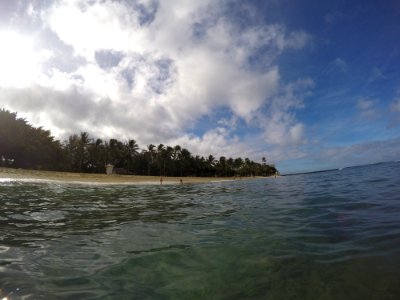 Waikiki Walland, Honolulu, United states photo