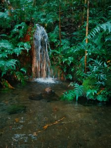 Kaneohe, Valley of the temples, United states