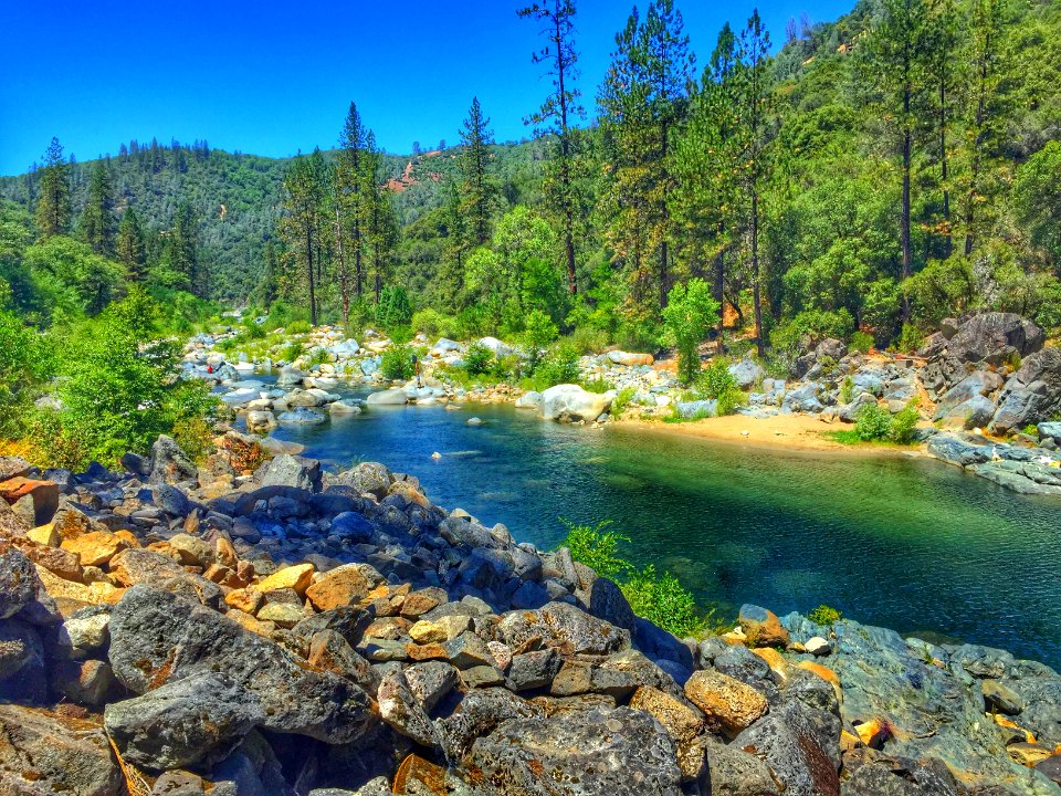 Summer, Rocks, Trees