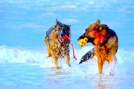Beach color sea